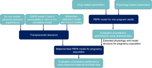 Evaluation of Various Approaches to Estimate Transplacental Clearance of Vancomycin for Predicting Fetal Concentrations using a Maternal–Fetal Physiologically Based Pharmacokinetic Model