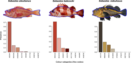 Quantitative analysis of body colouration in Sebastes rockfishes