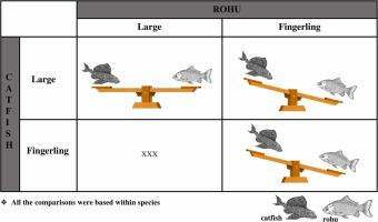 Understanding feeding competition under laboratory conditions: Rohu (Labeo rohita) versus Amazon sailfin catfish (Pterygoplichthys spp.)