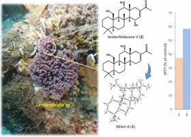 Isolation of 24-homoscalarane sesterterpenoids from a sponge of the genus Lendenfeldia