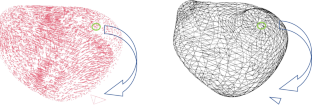 Comparison of Different Parallel Transport Methods for the Study of Deformations in 3D Cardiac Data