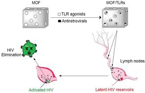 Biocompatible metal–organic frameworks as promising platforms to eradicate HIV reservoirs ex vivo in people living with HIV†