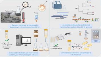 Genomic mining of Geobacillus stearothermophilus GF16 for xylose production from hemicellulose-rich biomasses using secreted enzymes