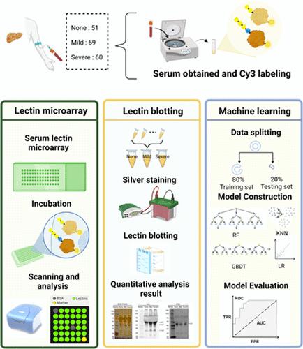 Machine Learning Reveals Serum Glycopatterns as Potential Biomarkers for the Diagnosis of Nonalcoholic Fatty Liver Disease (NAFLD)