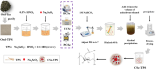 Alteration of Structural and Functional Properties of Tea Polysaccharides After Selenylation Modification