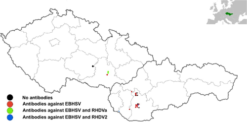 Lagoviruses in European brown hares, first serologic evidence for RHDVa