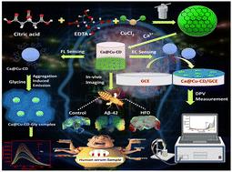 Ca@Cu-CD nanoprobe for dual detection of glycine and ex vivo glycine imaging†