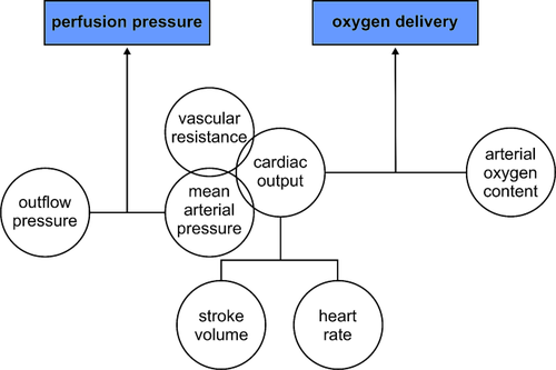 Haemodynamic monitoring during noncardiac surgery: past, present, and future