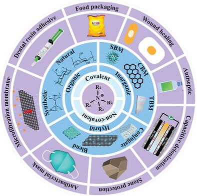 Quaternary Ammonium Compounds and Their Composites in Antimicrobial Applications