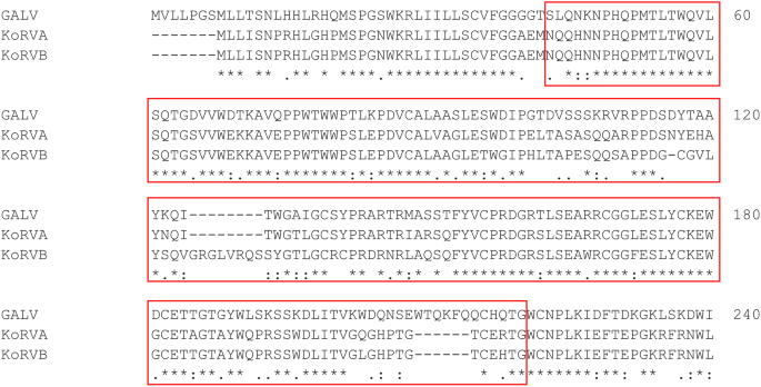 Development of KoRV-pseudotyped lentiviral vectors for efficient gene transfer into freshly isolated immune cells