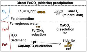 Direct precipitation of siderite in ferruginous environments