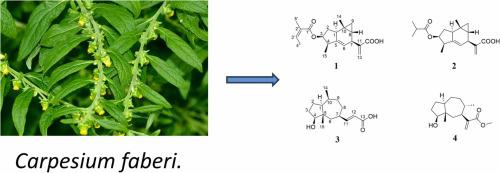 Four new sesquiterpenes from Carpesium faberi