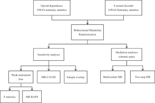Understanding the Causal Relationships Between Opioid Dependence and Risk of Mental Disorders: A Comprehensive Two-Sample Mendelian Randomization Study