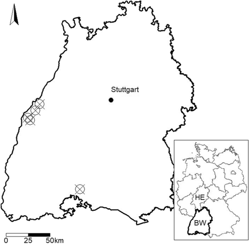 Crossings and collisions – Exploring how roe deer navigate the road network