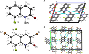 Crystal Structure of Halogenated N-Methylquinoline-2-Ones: Preparation and Study of Intermolecular Interactions in Crystals