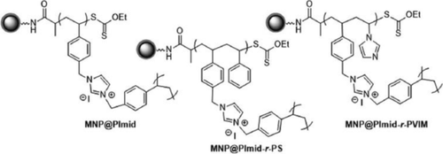 Correction to: A way to prepare magnetically separable palladium nanocatalysts active in Heck reaction—SI‑RAFT/MADIX polymerization for modification of magnetic nanoparticles