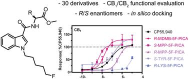 Synthesis and functional evaluation of proteinogenic amino acid-derived synthetic cannabinoid receptor agonists related to MPP-5F-PICA, MMB-5F-PICA, and MDMB-5F-PICA†