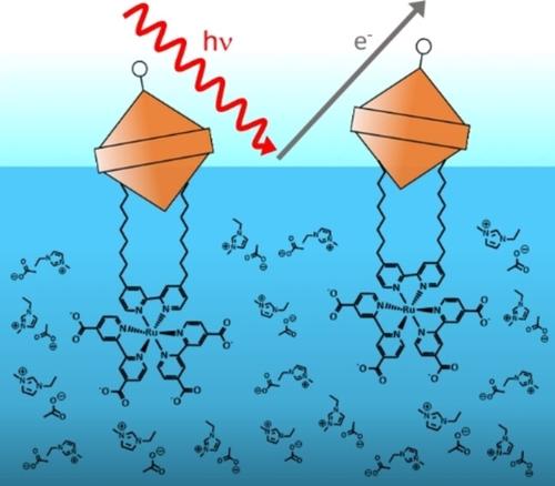 Unlocking the Fluorine-Free Buoy Effect: Surface-Enriched Ruthenium Polypyridine Complexes in Ionic Liquids