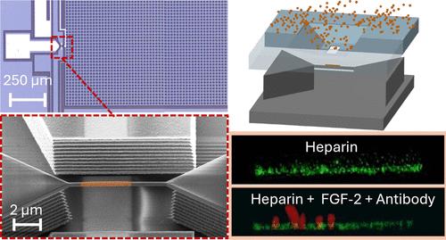 Stencil-Based Selective Surface Functionalization of Silicon Nanowires in 3D Device Architectures for Next-Generation Biochemical Sensors