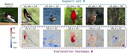 Explaining Siamese networks in few-shot learning