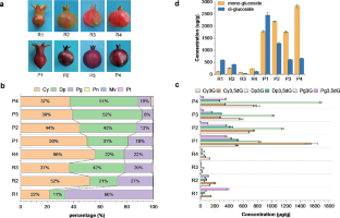 Comparative transcriptomic and metabolomic profiles reveal fruit peel color variation in two red pomegranate cultivars