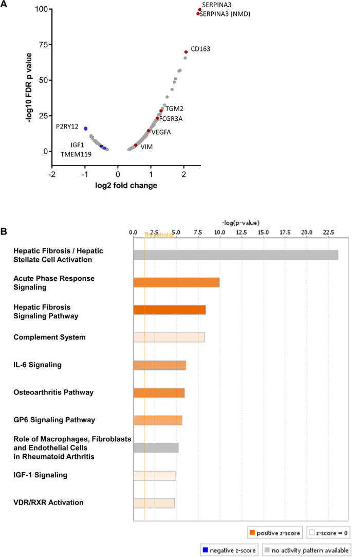 RNA-sequencing suggests extracellular matrix and vasculature dysregulation could impair neurogenesis in schizophrenia cases with elevated inflammation