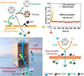 Self-sustaining Alkaline Seawater Electrolysis via Forward Osmosis Membranes