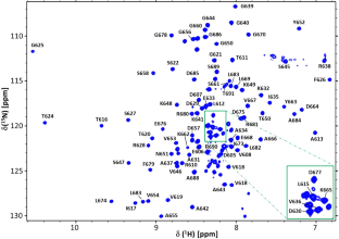 1H, 15N and 13C resonance backbone and side-chain assignments and secondary structure determination of the BRCT domain of Mtb LigA