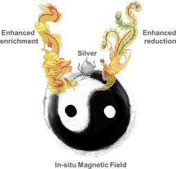 Dual-Selective Silver Recovery Strategy by Simultaneous Adsorption-Reduction Boosted by In-situ Magnetic Field