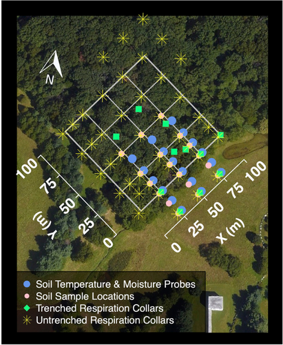 Shifts in belowground processes along a temperate forest edge