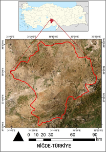 Energy Efficiency and Carbon Footprint Analysis of Sweet Cherry Cultivation Processes in Türkiye: The Case of Niğde Province