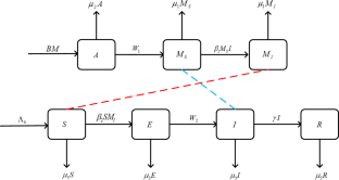 Transmission dynamics of a reaction–advection–diffusion dengue fever model with seasonal developmental durations and intrinsic incubation periods