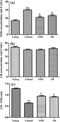 Nicotinamide Mononucleotide and Nicotinamide Riboside Reverse Ovarian Aging in Rats Via Rebalancing Mitochondrial Fission and Fusion Mechanisms