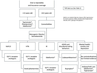 Update on Pediatric Anti-obesity Medications—Current Landscape and Approach to Prescribing