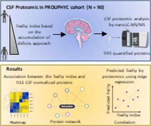 Cerebrospinal fluid proteomic profile of frailty: Results from the PROLIPHYC cohort