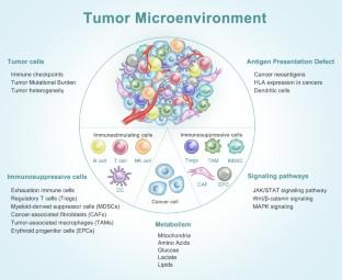 The immunosuppressive landscape in tumor microenvironment