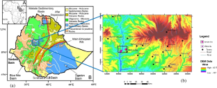 Lithofacies, stratigraphy, and provenance study of upper sandstone, Blue Nile (Abay) Basin, Ethiopia: insight to the distribution of reservoir facies