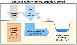 Direct evidence of CO2 drawdown through enhanced weathering in soils