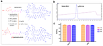 [<sup>18</sup>F]AlF-NOTA-PCP2: a novel PET/CT tracer for enhanced PD-L1 heterogeneity imaging and comparative analysis with [<sup>18</sup>F]AlF-NOTA-WL12 in glioblastoma xenografts.