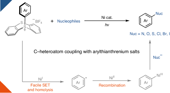 C–heteroatom coupling with electron-rich aryls enabled by nickel catalysis and light