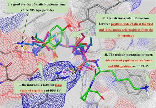 Molecular Mechanistic Insights into Dipeptidyl Peptidase-IV Inhibitory Peptides to Decipher the Structural Basis of Activity.