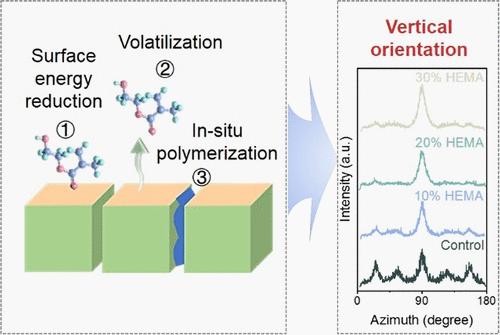 Vertically Oriented Perovskites with Minimized Intrinsic Boundaries for Efficient Photovoltaics.