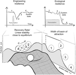 Ecosystem Resilience Monitoring and Early Warning Using Earth Observation Data: Challenges and Outlook