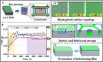 Topology optimization of AISI 4140 steel with surface texture filled by multi-solid lubricants for enhancing tribological properties