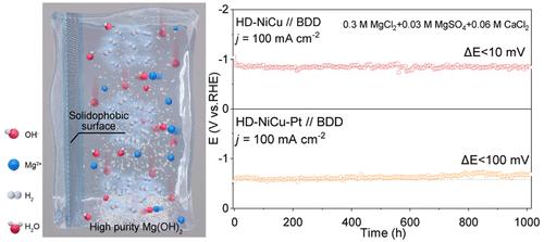 Solidophobic Surface for Electrochemical Extraction of High-Valued Mg(OH)<sub>2</sub> Coupled with H<sub>2</sub> Production from Seawater.