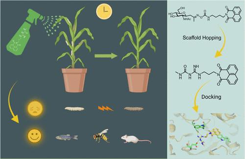 Design of Inhibitors Targeting Chitin-Degrading Enzymes by Bioisostere Substitutions and Scaffold Hopping for Selective Control of <i>Ostrinia furnacalis</i>.