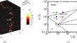 Effects of Pressure and Characteristic Scales on the Structural and Statistical Features of Methane/Air Turbulent Premixed Flames