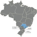 Prevalence and Diagnostic Journey of Friedreich's Ataxia in the State of São Paulo, Brazil.