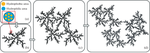 Recovery of Organomineral Gel Properties in Dried Soil Samples