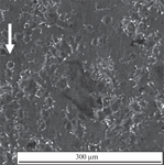 Investigation of the Effect of Nanosecond Laser Pulses Processing on the Microstructure and Fatigue Resistance of Commercially Pure Titanium